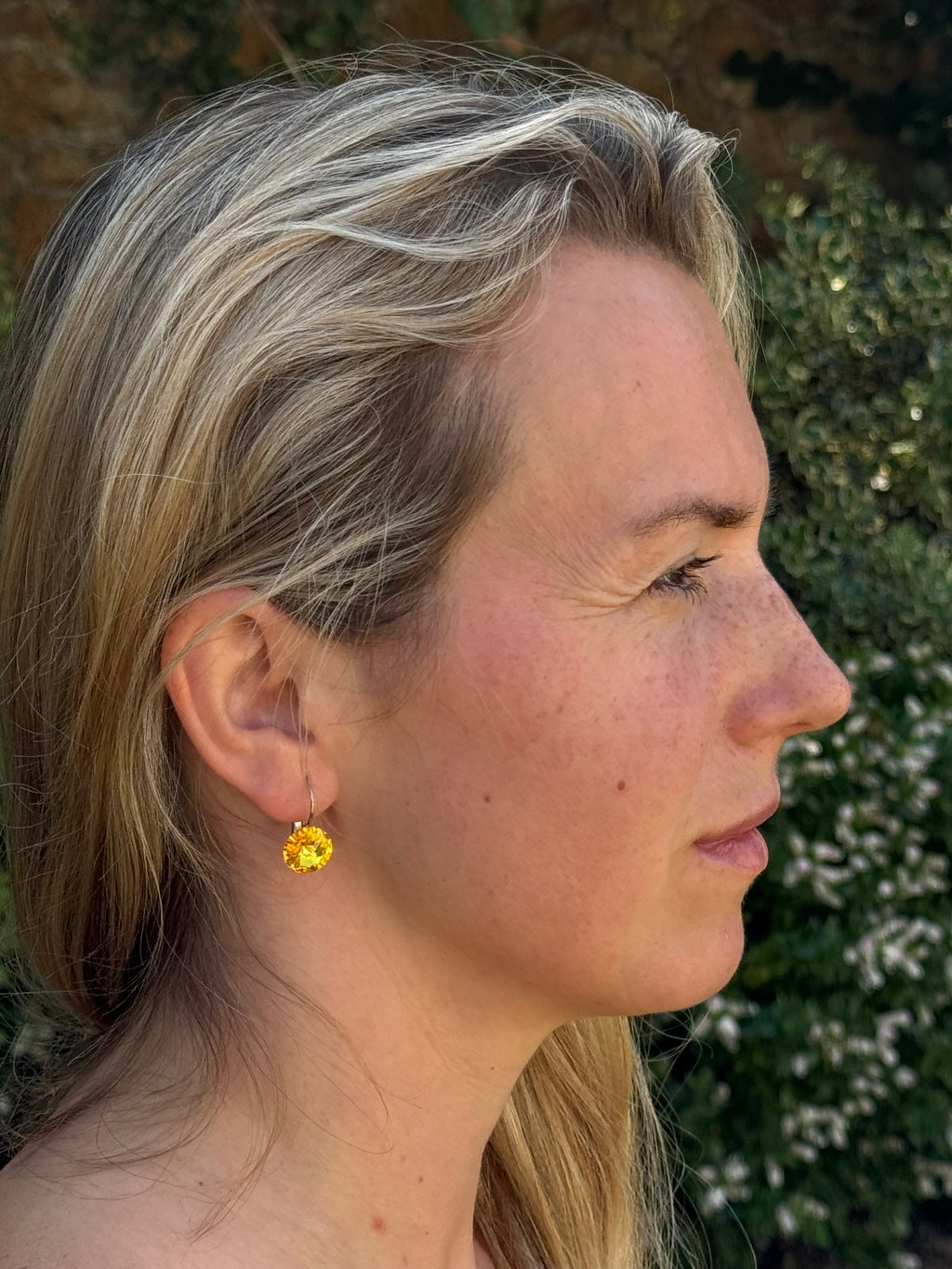 Medium Crystal Drop Earrings