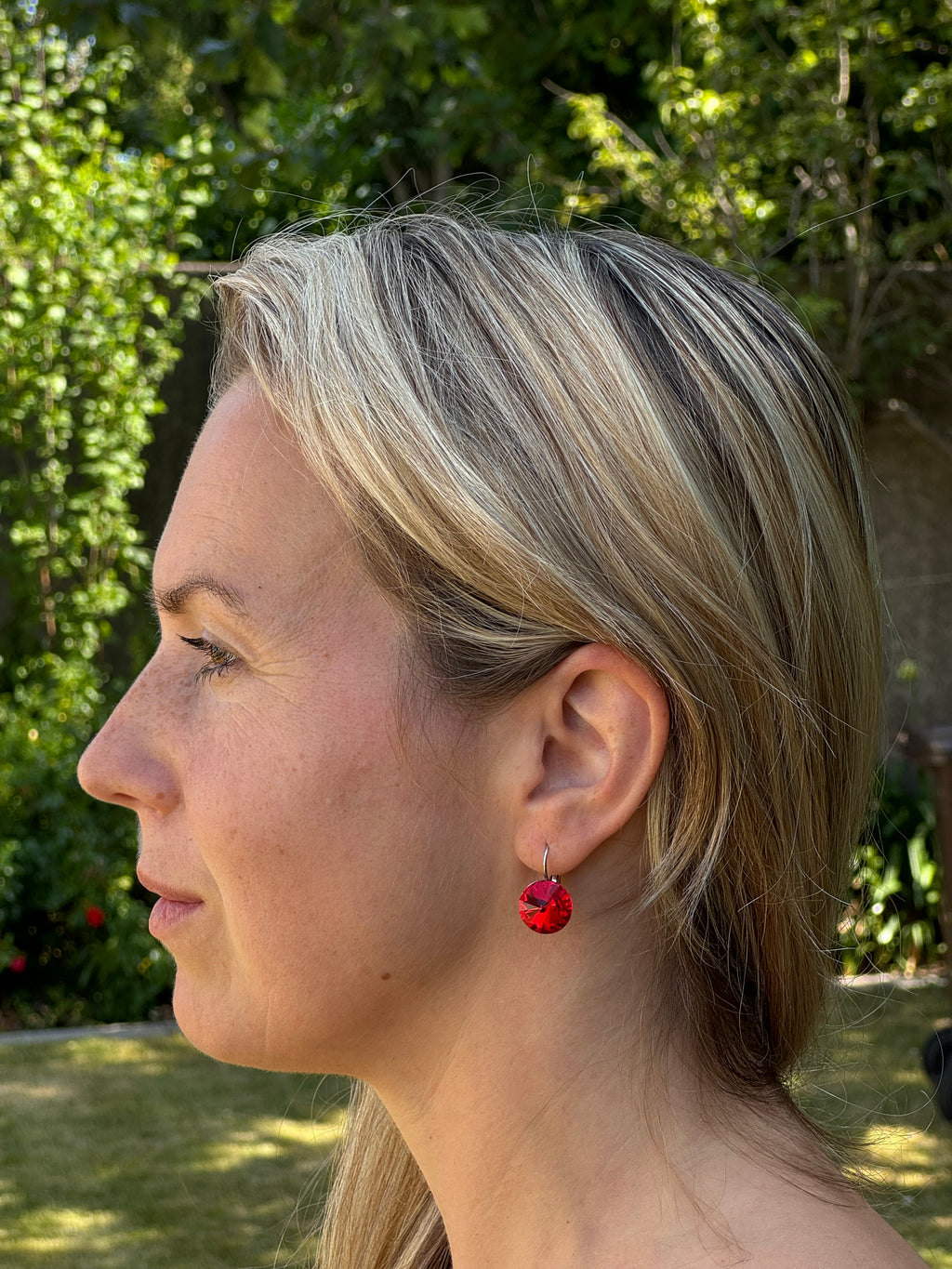 Large Crystal Drop Earrings